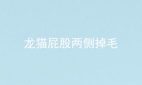 龙猫屁股两侧掉毛