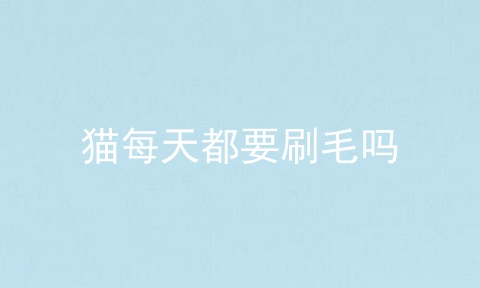 猫每天都要刷毛吗