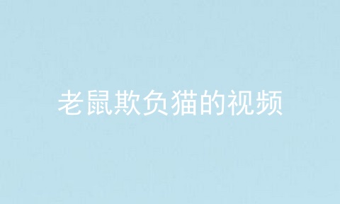 老鼠欺负猫的视频