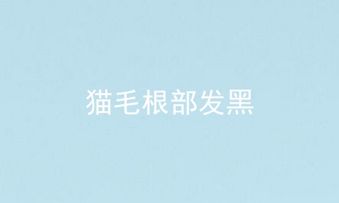 猫毛根部发黑