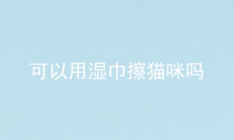 可以用湿巾擦猫咪吗
