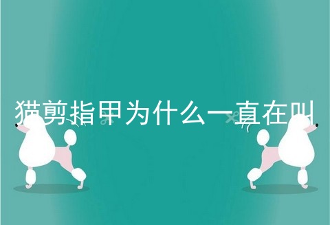 猫剪指甲为什么一直在叫