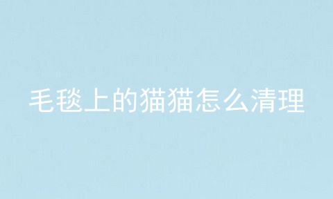 毛毯上的猫猫怎么清理