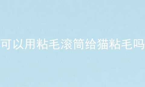 可以用粘毛滚筒给猫粘毛吗
