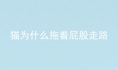 猫为什么拖着屁股走路