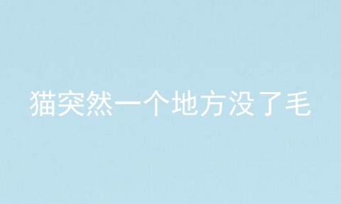 猫突然一个地方没了毛