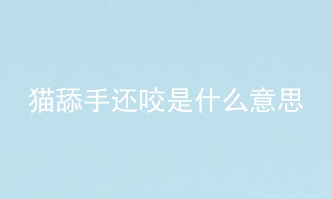 猫舔手还咬是什么意思