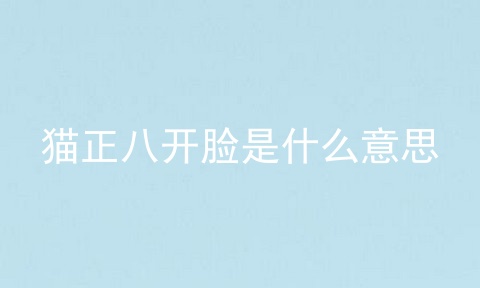 猫正八开脸是什么意思