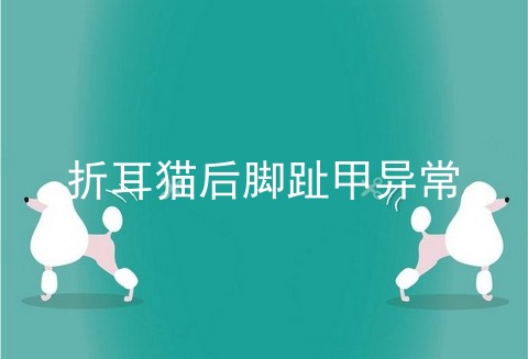 折耳猫后脚趾甲异常
