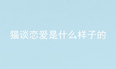 猫谈恋爱是什么样子的