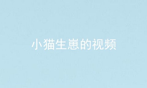 小猫生崽的视频