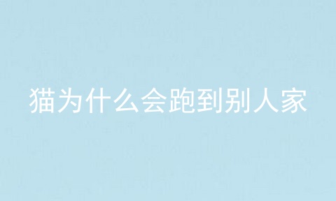 猫为什么会跑到别人家