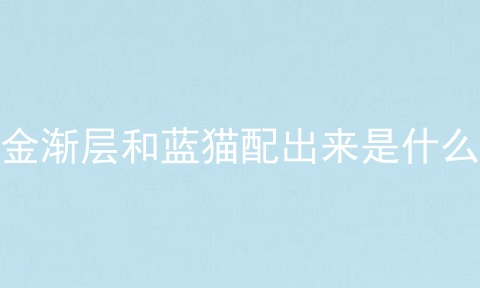 金渐层和蓝猫配出来是什么