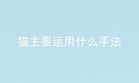 猫主要运用什么手法
