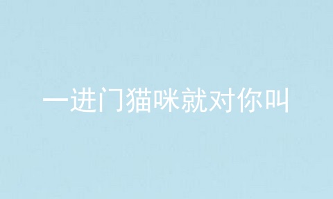 一进门猫咪就对你叫
