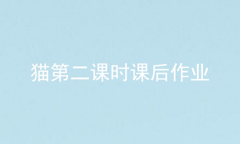猫第二课时课后作业
