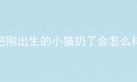 把刚出生的小猫扔了会怎么样