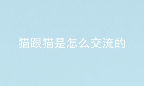 猫跟猫是怎么交流的