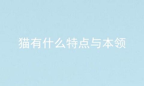 猫有什么特点与本领