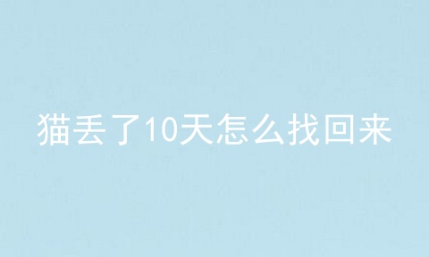 猫丢了10天怎么找回来