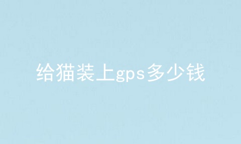 给猫装上gps多少钱