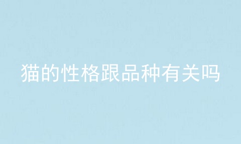 猫的性格跟品种有关吗
