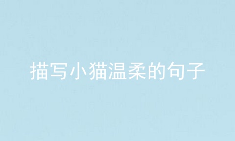 描写小猫温柔的句子