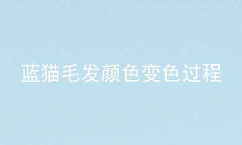 蓝猫毛发颜色变色过程