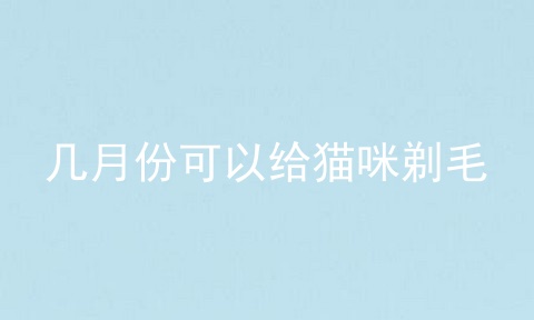 几月份可以给猫咪剃毛