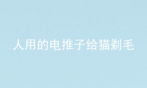 人用的电推子给猫剃毛