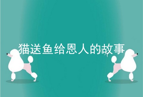 猫送鱼给恩人的故事