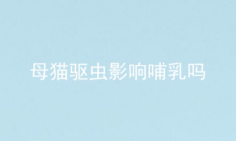 母猫驱虫影响哺乳吗