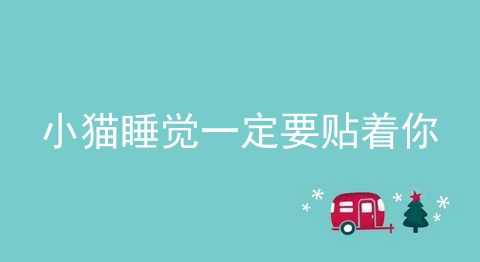 小猫睡觉一定要贴着你