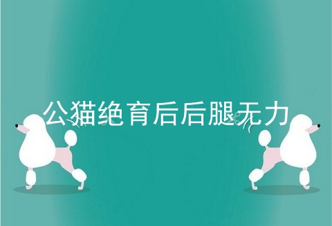 公猫绝育后后腿无力
