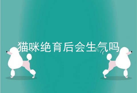 猫咪绝育后会生气吗