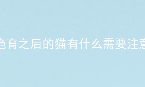 绝育之后的猫有什么需要注意