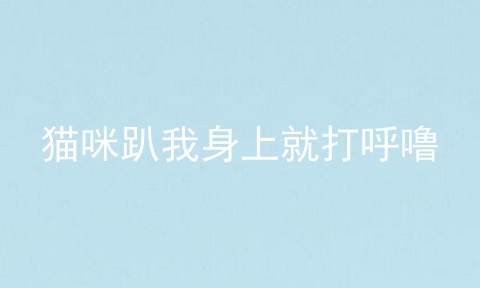 猫咪趴我身上就打呼噜