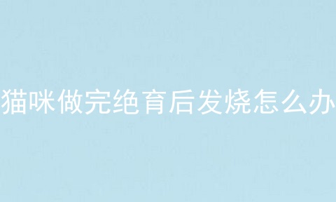 猫咪做完绝育后发烧怎么办