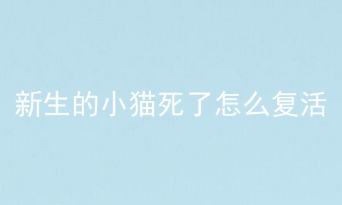 新生的小猫死了怎么复活