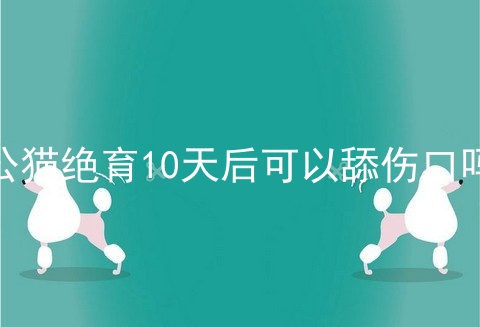 公猫绝育10天后可以舔伤口吗