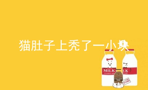猫肚子上秃了一小块