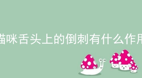猫咪舌头上的倒刺有什么作用