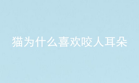 猫为什么喜欢咬人耳朵