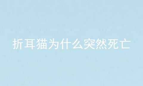 折耳猫为什么突然死亡