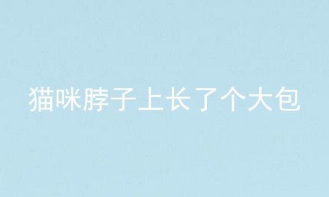 猫咪脖子上长了个大包
