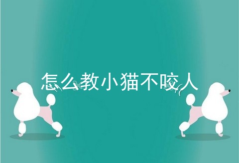 怎么教小猫不咬人