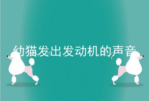 幼猫发出发动机的声音