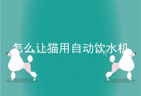 怎么让猫用自动饮水机
