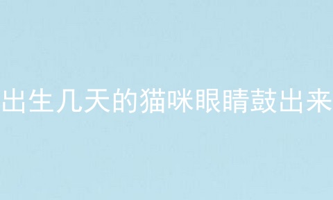 出生几天的猫咪眼睛鼓出来