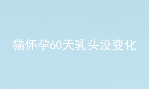 猫怀孕60天乳头没变化